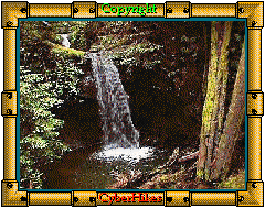 Big Basin