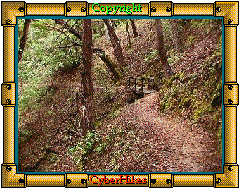 Big Basin