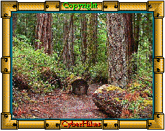Big Basin