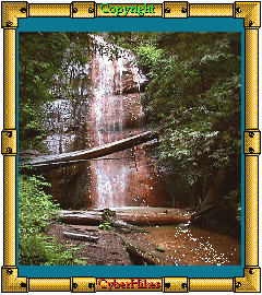Big Basin