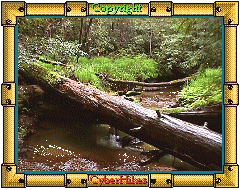 Big Basin