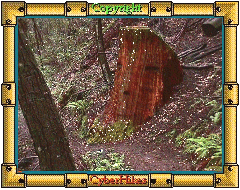 Big Basin