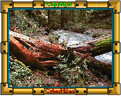 Fall Creek