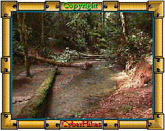 Fall Creek