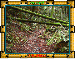 Fall Creek
