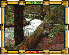 Fall Creek