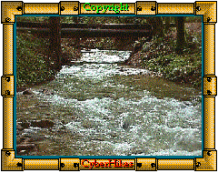 Fall Creek