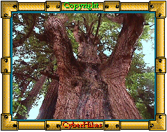 Henry Cowell Photo