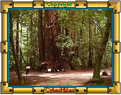 Henry Cowell Photo