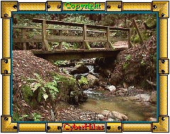Henry Cowell Photo
