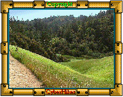 Long Ridge