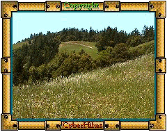 Long Ridge