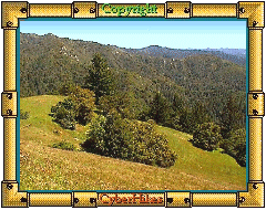 Summit Meadows