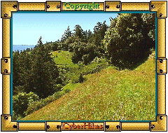 Summit Meadows